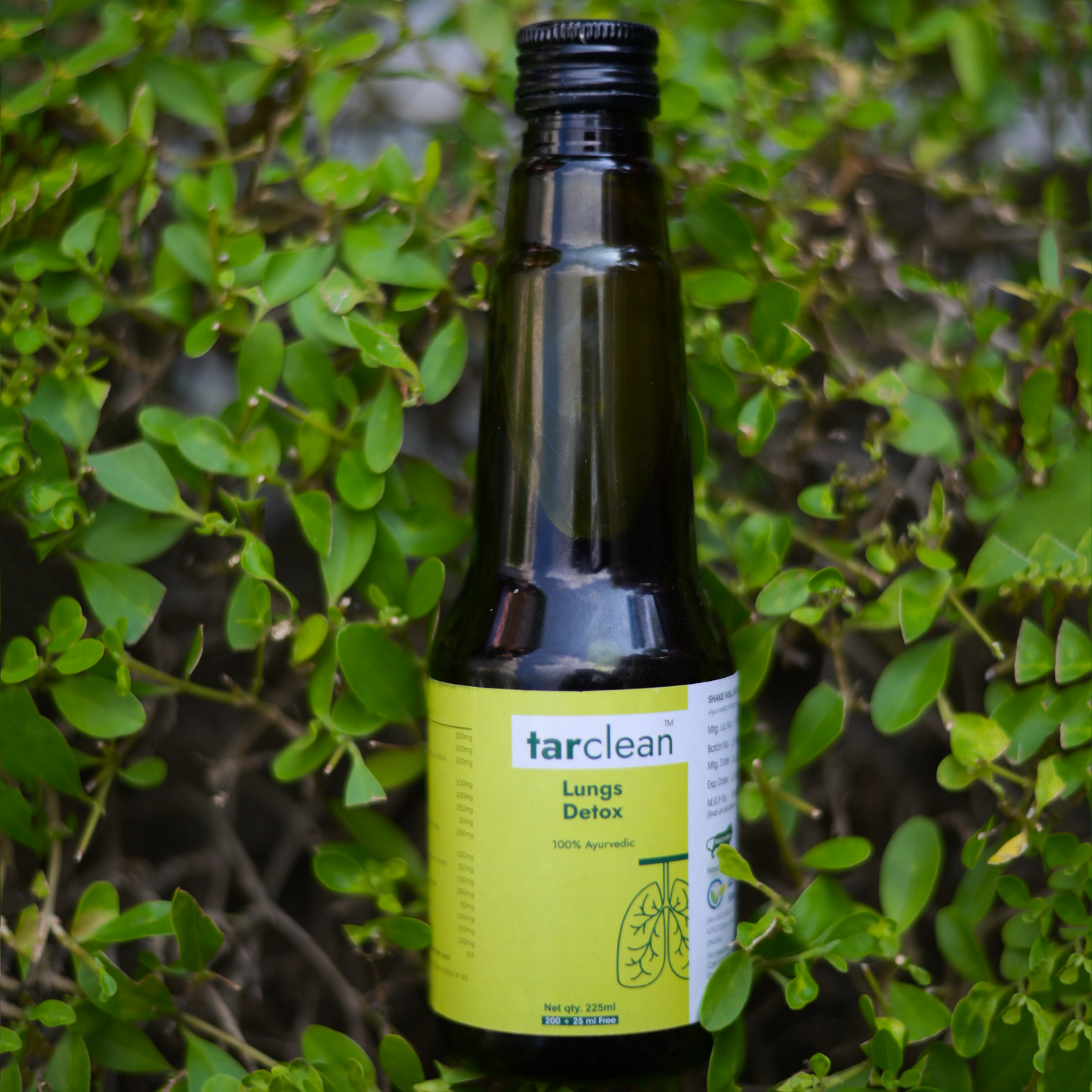 Tar Clean Lungs Detox Syrup Lungs lung Tar Clean Syup | Detox For Smokers Cleanse | Lung detox | Lungs Cleanse Detox | Lung cleanse | Lungs Cleanse
